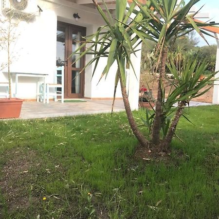 La Fragola In Campagna 6 K M Da San Pantaleo Hotel Buitenkant foto