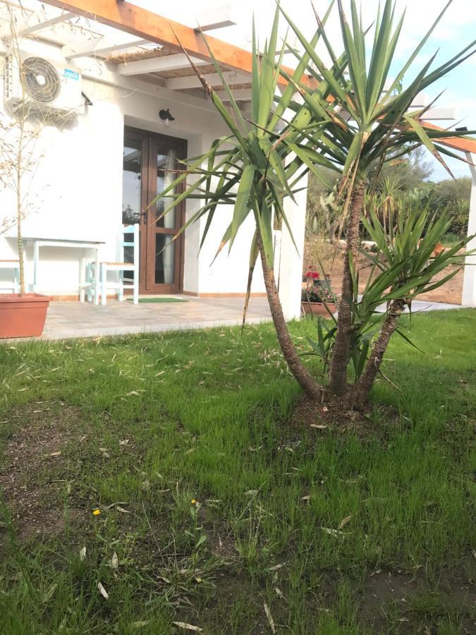 La Fragola In Campagna 6 K M Da San Pantaleo Hotel Buitenkant foto