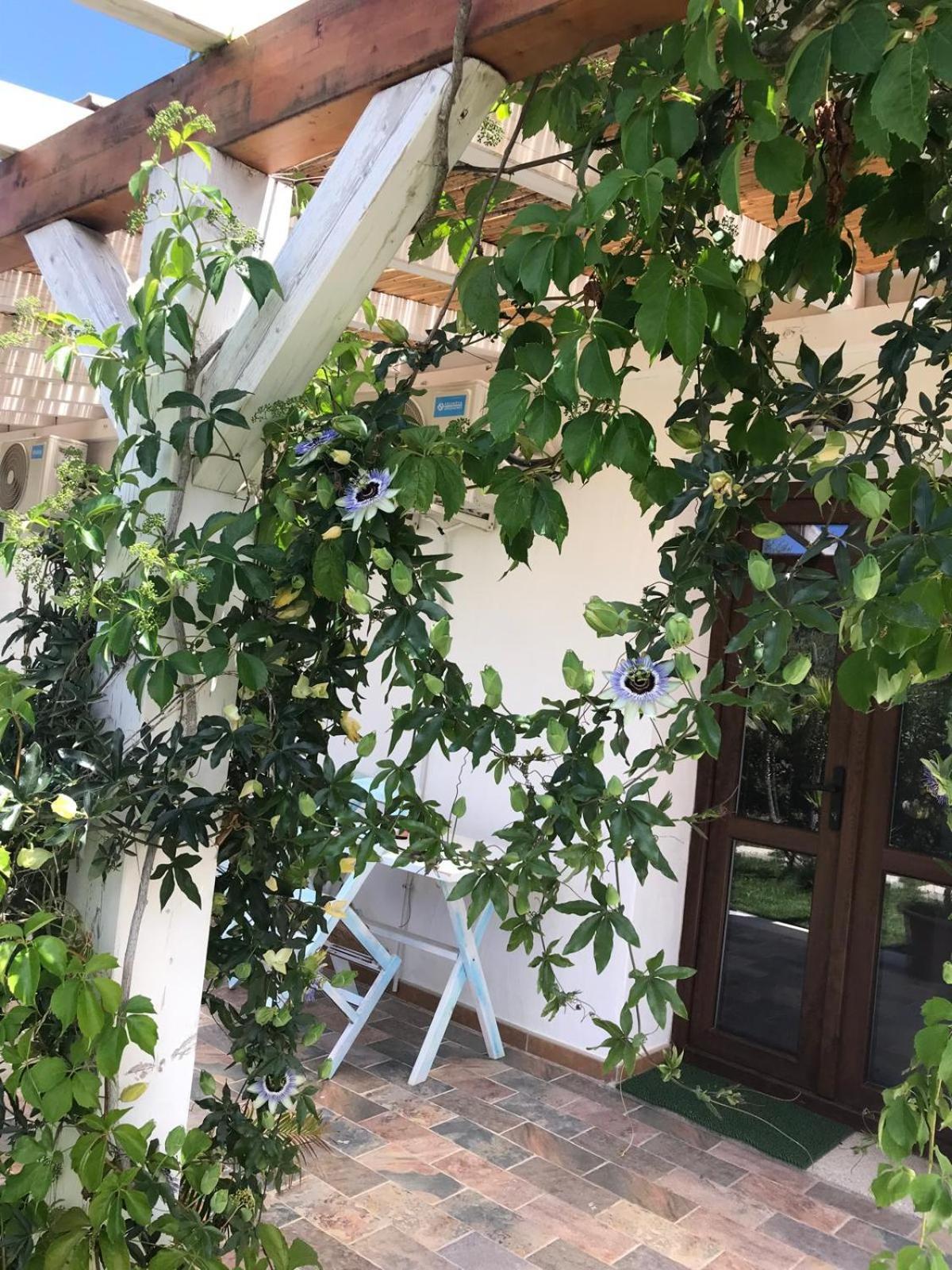 La Fragola In Campagna 6 K M Da San Pantaleo Hotel Buitenkant foto
