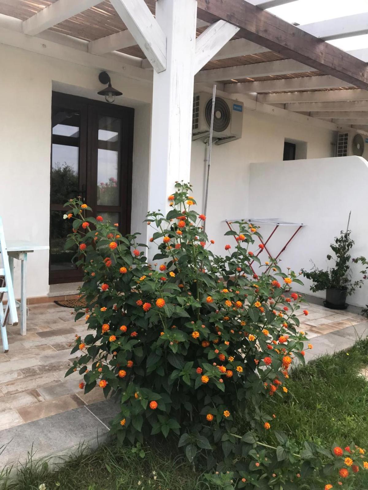 La Fragola In Campagna 6 K M Da San Pantaleo Hotel Buitenkant foto